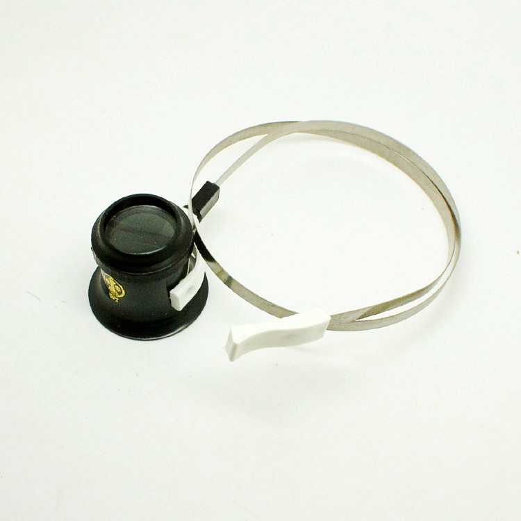Head-mounted magnifying glass